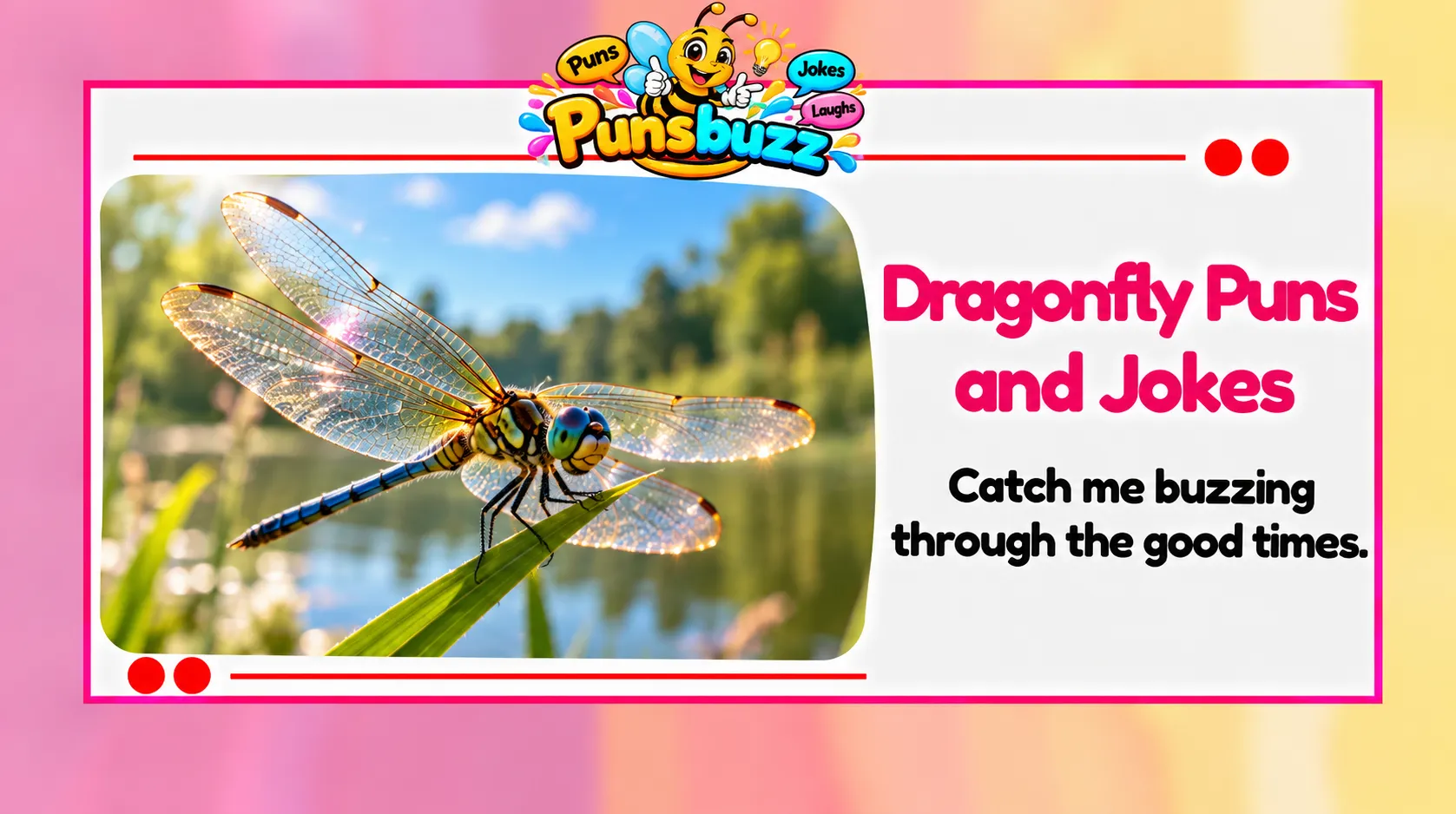 Dragonfly Puns and Jokes