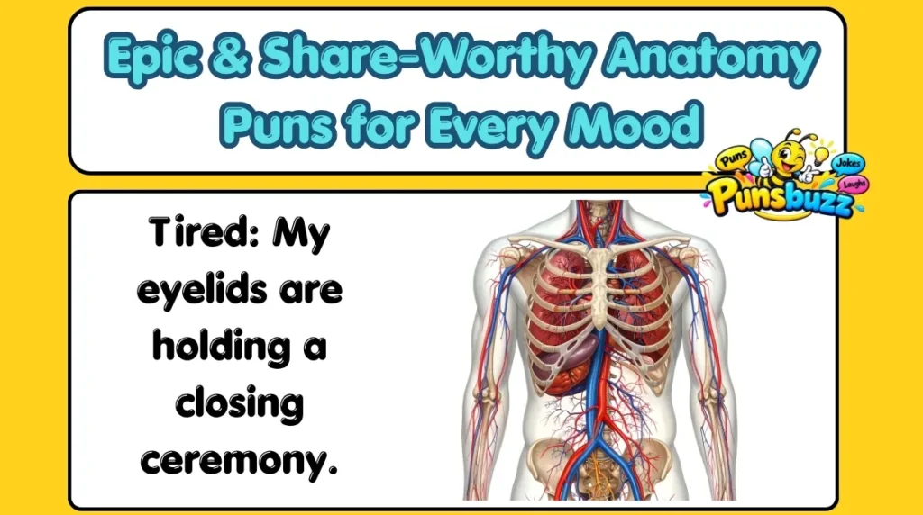 Epic & Share-Worthy Anatomy Puns for Every Mood