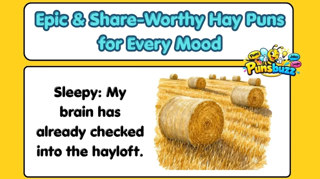 Epic & Share-Worthy Hay Puns for Every Mood