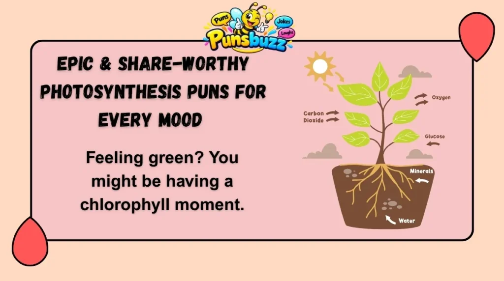 Epic & Share-Worthy Photosynthesis Puns for Every Mood 