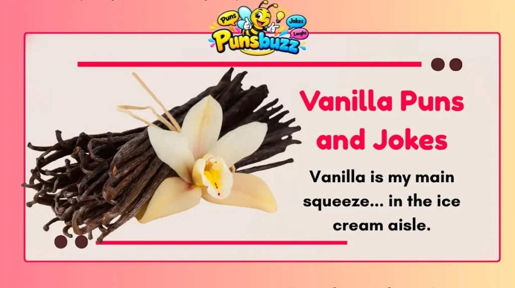 vanilla-puns-and-jokes