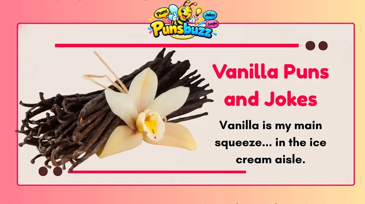 vanilla-puns-and-jokes
